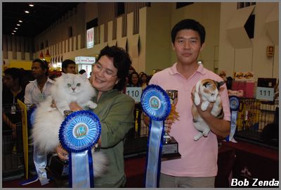 HHPet winners